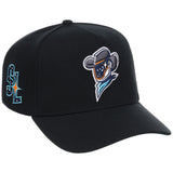 Sugar Land Space Cowboys Field Club Minor League Monday Black OTC A-Frame