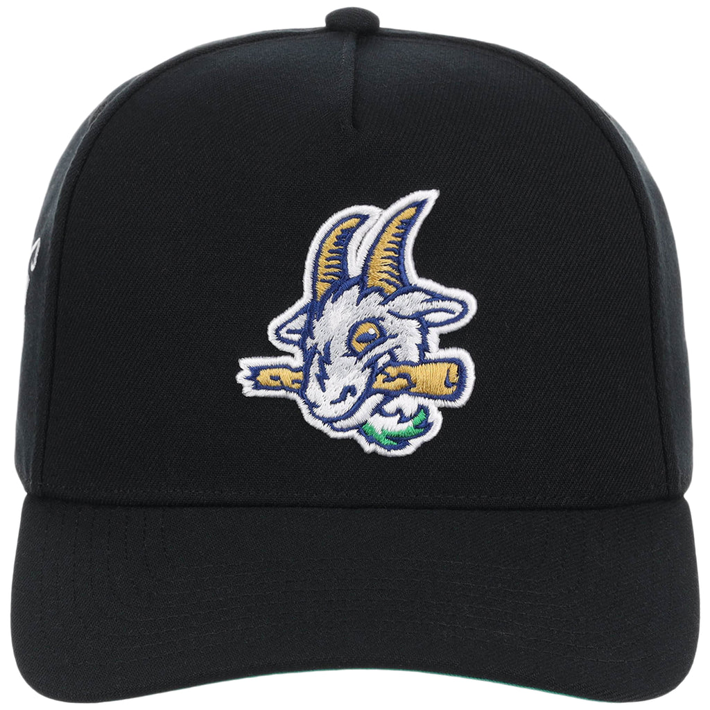 Hartford Yard Goats Field Club Minor League Monday Black OTC A-Frame