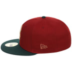 Boston Red Sox  MLB Terra Verde New Era 59FIFTY