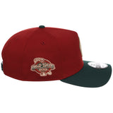 Arizona Diamondbacks MLB Terra Verde New Era 9FORTY