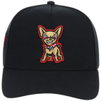 El Paso Chihuahuas Field Club Minor League Monday Black OTC A-Frame