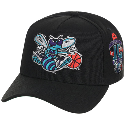 Charlotte Hornets NBA Heavy Metal HWC Mitchell & Ness Pro Pinch