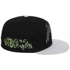 The Amazing Spider-Man' (Black/Gray) - The Spider-Man vs. Hulk Collection
