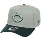 Cincinnati Reds MLB Everest x Dark Green FASHION CORE New Era 9FORTY A-Frame
