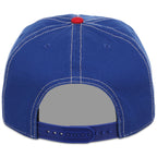 Detroit Pistons NBA Champ '47 Hitch Collection