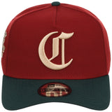 Cincinnati Reds MLB Terra Verde New Era 9FORTY