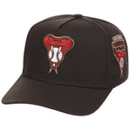 Arizona Diamondbacks MLB Gold Digger Mitcell & Ness Pro Pinch – 4