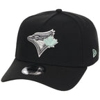 Toronto Blue Jays MLB Alpine Snow New Era 9FORTY A-Frame