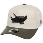 Tampa Bay Rays MLB Chrome Olive New Era 9FORTY