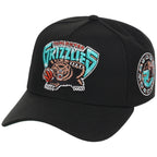 Vancouver Grizzlies NBA Heavy Metal HWC Mitchell & Ness Pro Pinch – 4