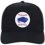 Buffalo Bisons Field Club Minor League Monday Black OTC A-Frame