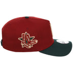 Boston Red Sox MLB Terra Verde New Era 9FORTY