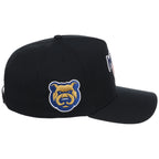Iowa Cubs Field Club Minor League Monday Black OTC A-Frame