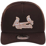 St. Louis Cardinals MLB Frosted Bark New Era 9FORTY A-Frame