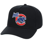 Iowa Cubs Field Club Minor League Monday Black OTC A-Frame