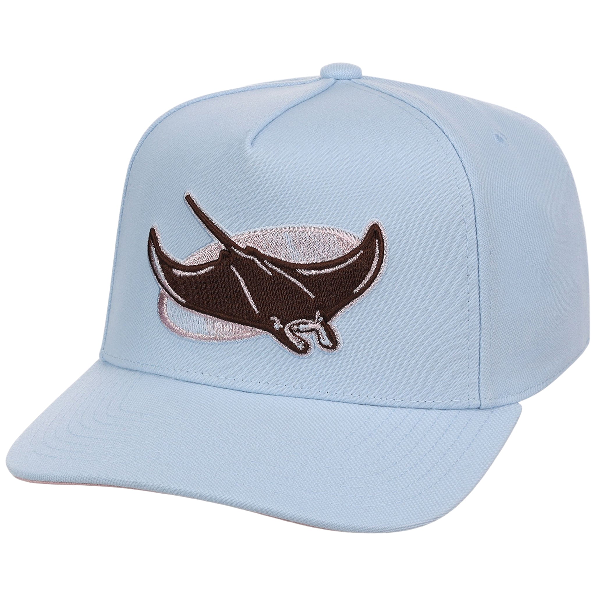Tampa Bay Rays MLB Mitchell & Ness Cherry Blossom Pro Pinch