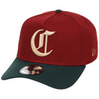 Cincinnati Reds MLB Terra Verde New Era 9FORTY