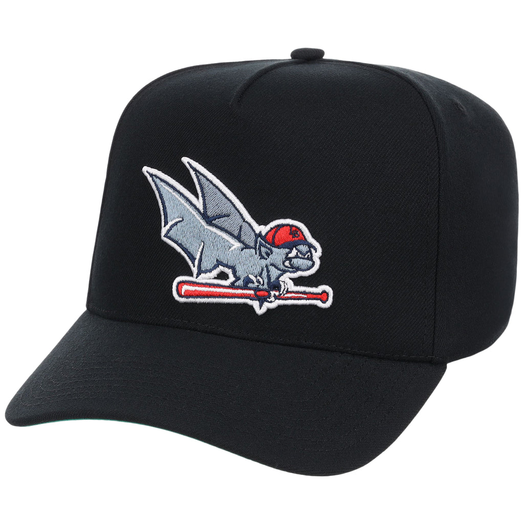 Louisville Bats Field Club Minor League Monday Black OTC A-Frame