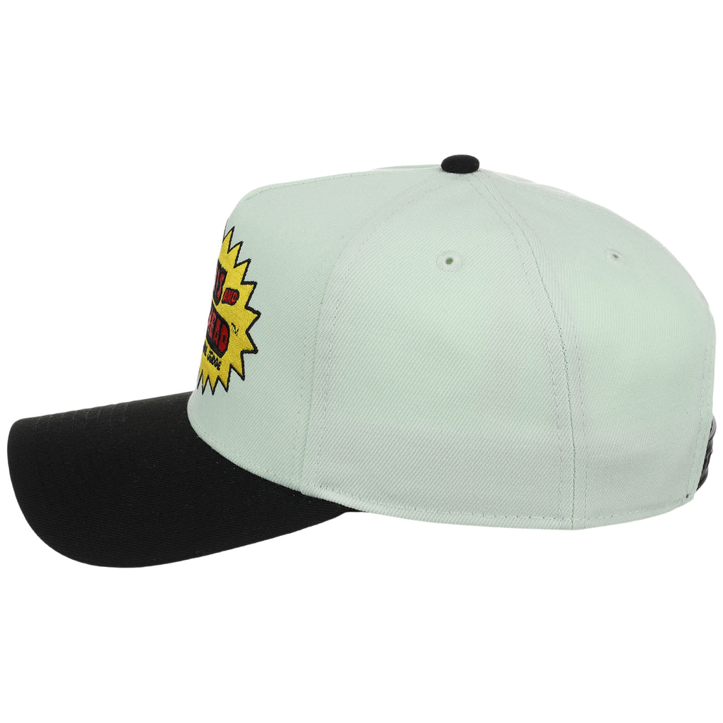 The Beavis & Butthead Collection Logo Mint A-Frame