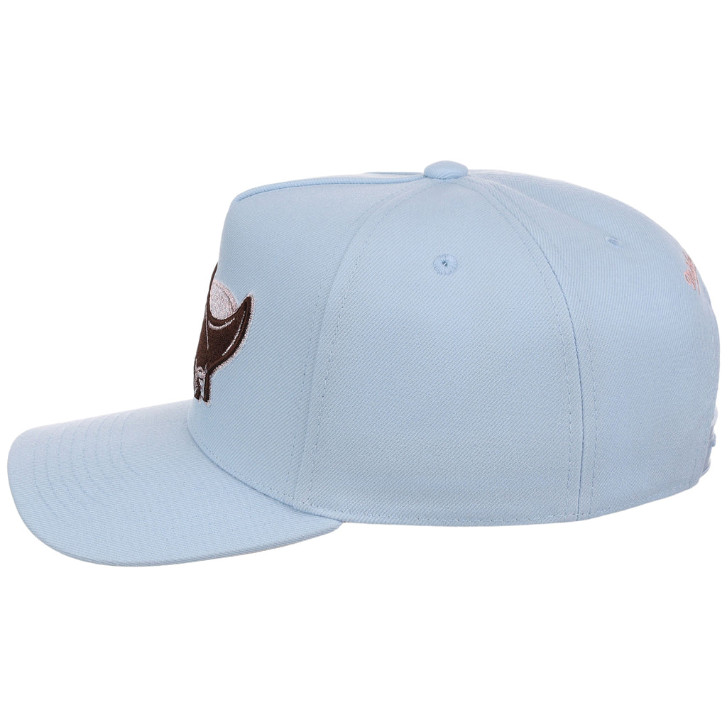 Tampa Bay Rays MLB Mitchell & Ness Cherry Blossom Pro Pinch