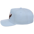 Tampa Bay Rays MLB Mitchell & Ness Cherry Blossom Pro Pinch