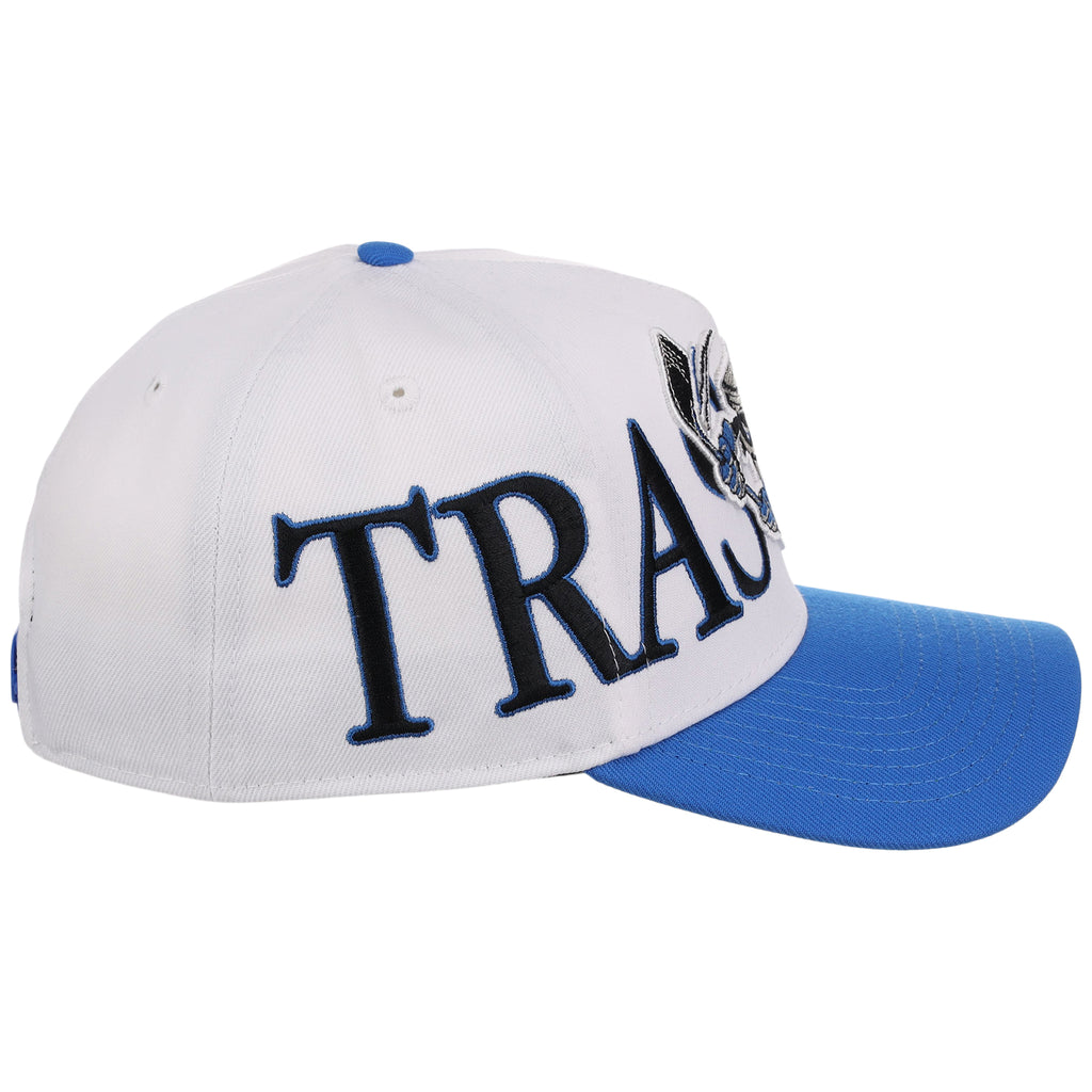Danbury Trashers Wrap A-Frame (Chrome/Blue) - The Danbury Trashers Collection