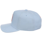 New York Yankees MLB Mitchell & Ness Cherry Blossom Pro Pinch