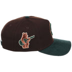 Chicago Cubs MLB Forest Ember New Era 9FORTY A-Frame