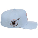 San Diego Padres MLB Mitchell & Ness Cherry Blossom Pro Pinch