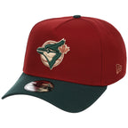 Toronto Blue Jays MLB Terra Verde New Era 9FORTY