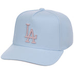 Los Angeles Dodgers MLB Mitchell & Ness Cherry Blossom Pro Pinch