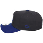 St. Louis Cardinals MLB Graphite x Royal FASHION CORE New Era 9FORTY A-Frame
