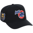 Iowa Cubs Field Club Minor League Monday Black OTC A-Frame