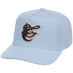 Baltimore Orioles MLB Mitchell & Ness Cherry Blossom Pro Pinch