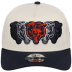 Chicago Bears NFL Seismic New Era 9FORTY A-Frame