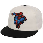 The Amazing Spider-Man' (Chrome/Black) - The Spider-Man vs. Hulk Collection