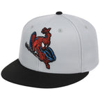 The Amazing Spider-Man' (Gray/Black) - The Spider-Man vs. Hulk Collection