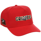 Fresno Grizzlies Field Club Minor League Monday OTC A-Frame
