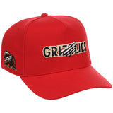 Fresno Grizzlies Field Club Minor League Monday OTC A-Frame