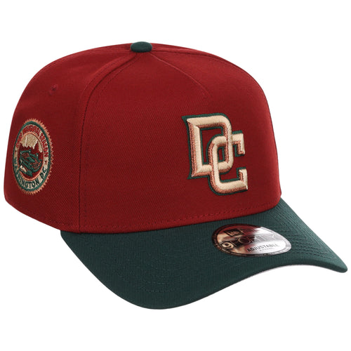 Washington Nationals MLB Terra Verde New Era 9FORTY