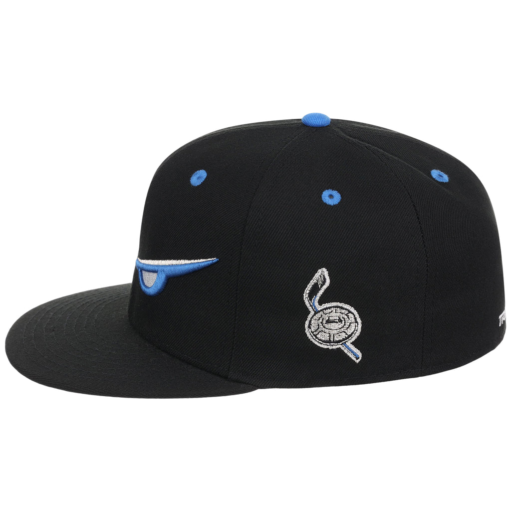 Danbury Trashers Logo Fitted (Black) - The Danbury Trashers Collection