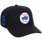 Buffalo Bisons Field Club Minor League Monday Black OTC A-Frame
