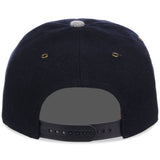 New York Yankees 1919 WS Champs '47 Hitch