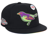 Baltimore Orioles MLB Topps Chrome Collection Rainbow Fitted