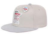 Minnesota Twins MLB Topps Chrome Collection Off White Fitted