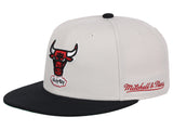 Chicago Bulls NBA Dennis Rodman Collection Fitted "Smile"