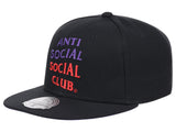 Toronto Raptors ASSC X NBA Fitted