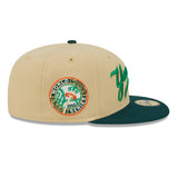 New York Yankees MLB Paddy 59FIFTY