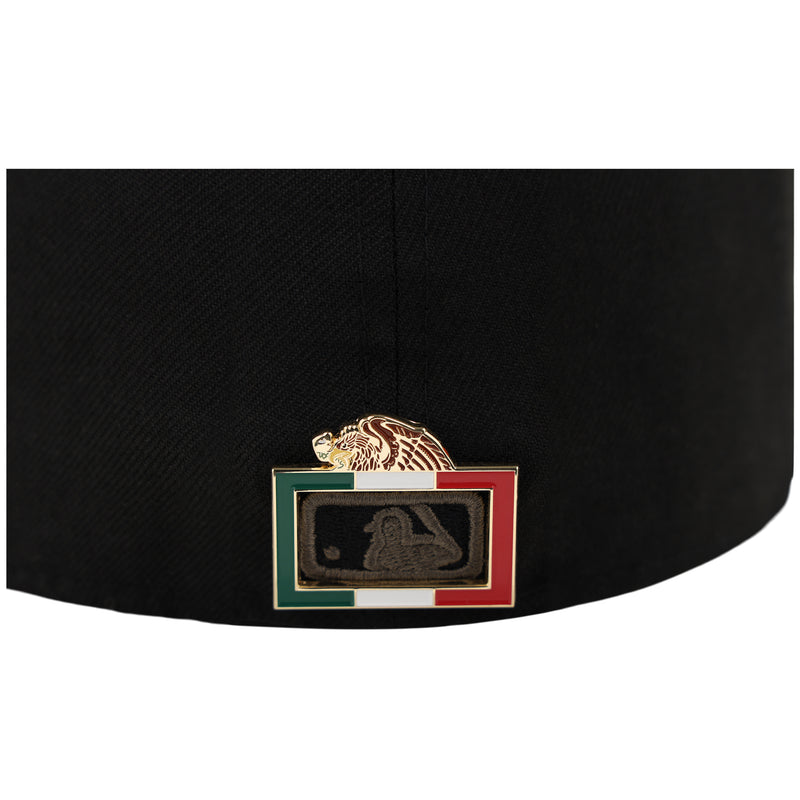 Mexico Rectangle Frame Pin