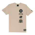 Chicago Cubs Spring Color Collection New Era Stacked Tee